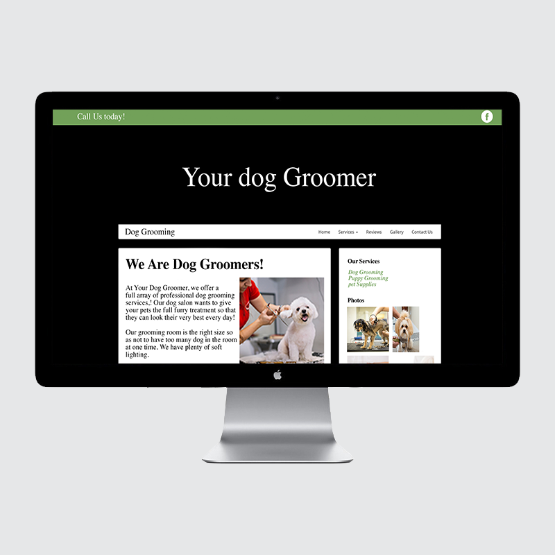 example of old, poorly-formatted website